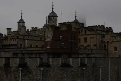 DSC_5897 (Large).JPG